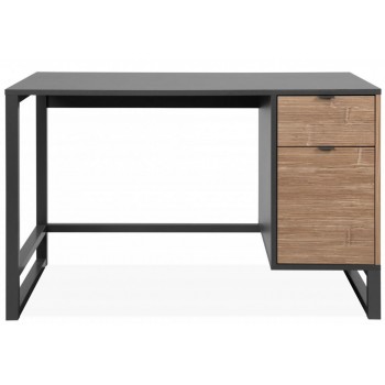 Bureau 120x76H bamboo et...